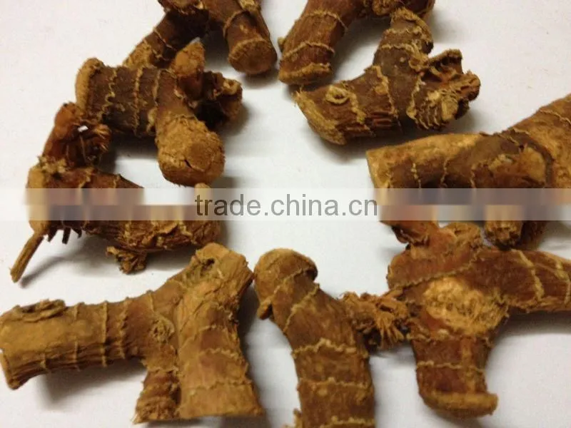 Well Dried Galangal Roots