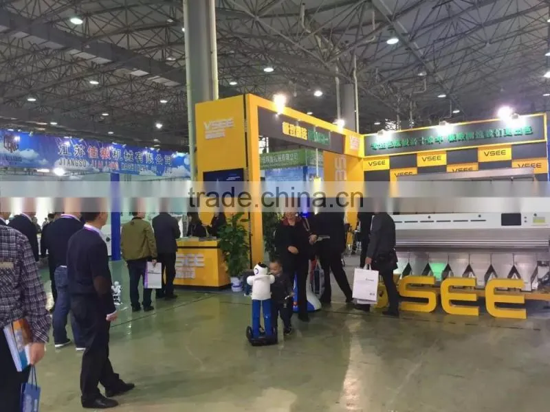 dried fruit sorting machine melon seeds color sorter