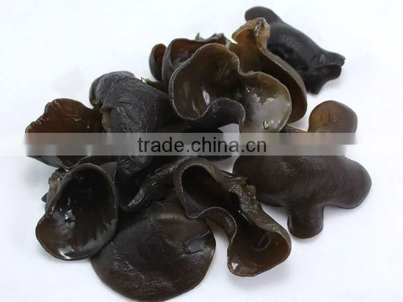 IQF Frozen Black Fungus Ear Mushroom