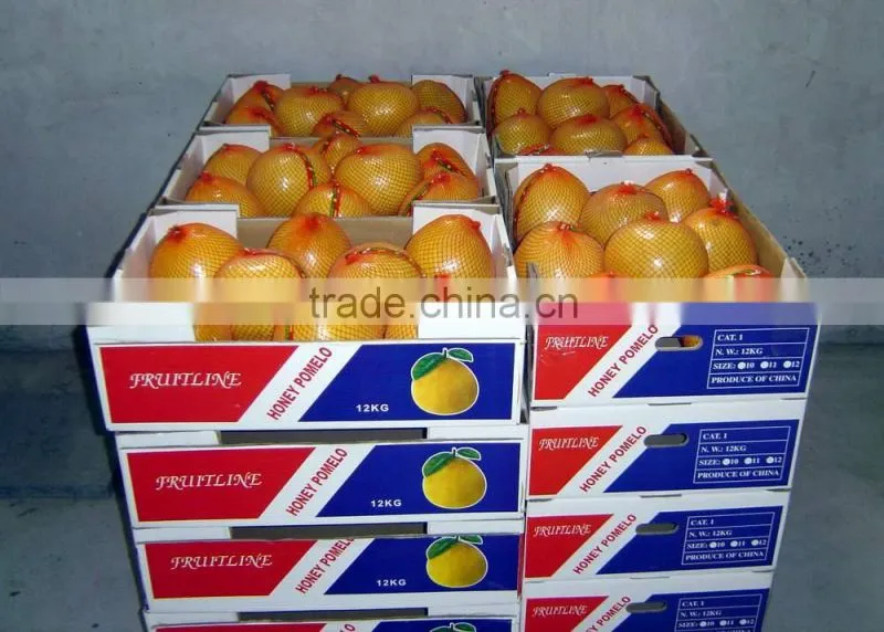 fresh pomelo