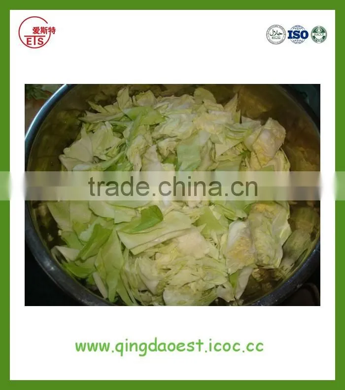 Chinese high quality fresh green cabbage