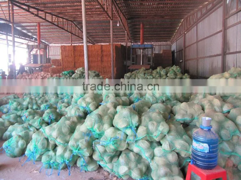 vietmam semi husk mature coconut, best quality, cheap price
