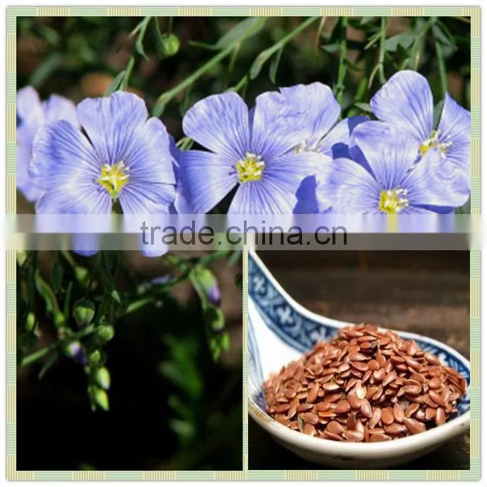 Natural Food Grade Linseed / Flaxseed Oil in bulk size