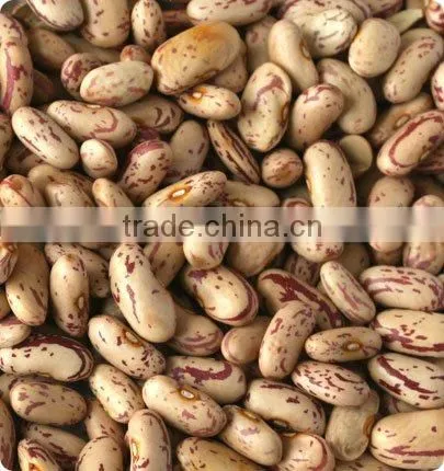 Automatic kidney bean color sorter machine