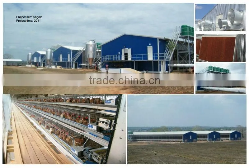 broiler chicken house