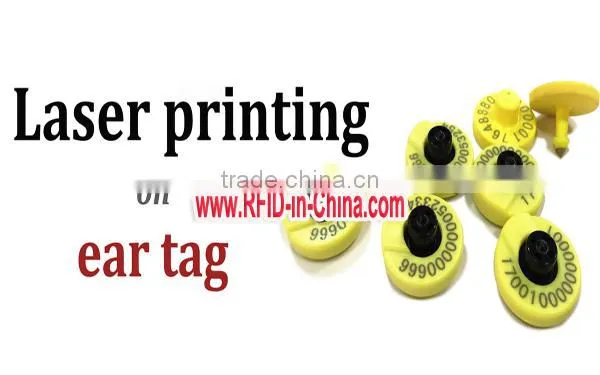 Custom PET RFID Cattle Tagss with UID Printing, HF Passive RFID Animal Ear Tags for Pigs, Sheep, and Cattle