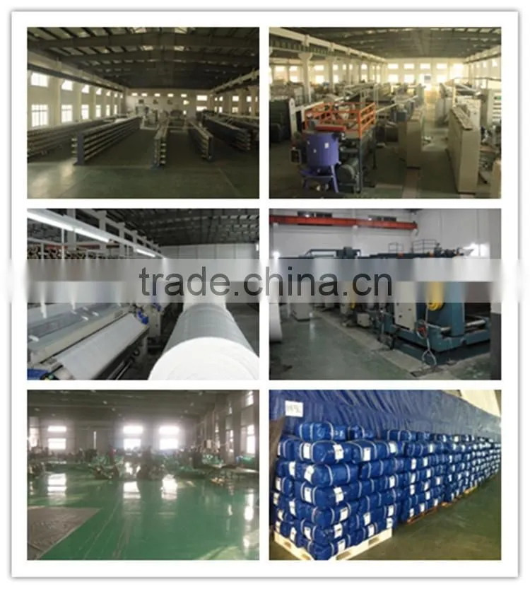 The cheap PP/PE Tarpaulin