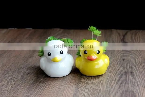 Cute mini duck ceramic pot home desktop decoration bonsai flower pots