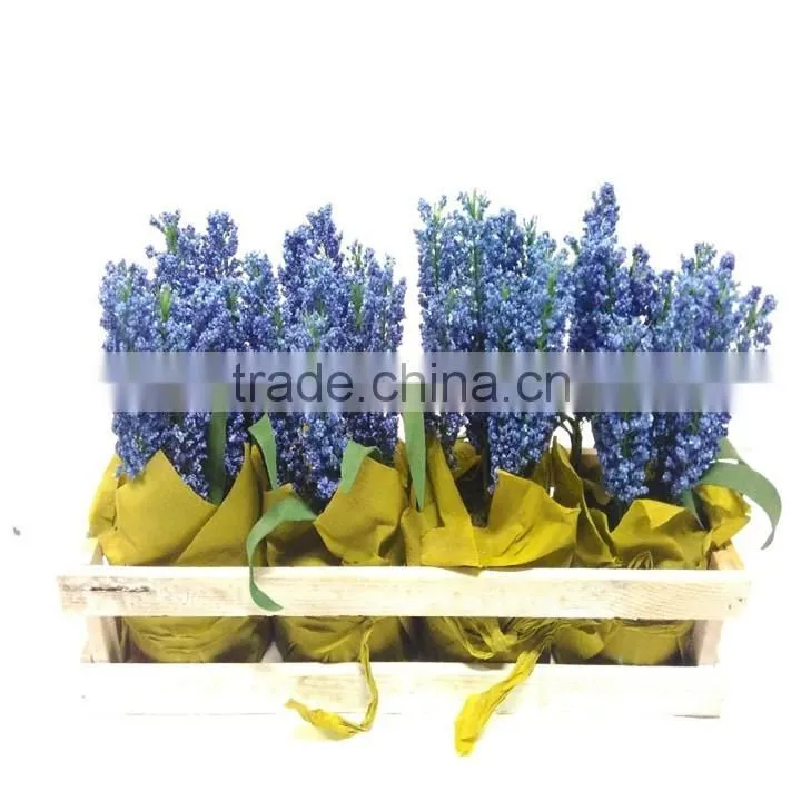 cheap wholesale artificial flowers ribbon flowers for home decore