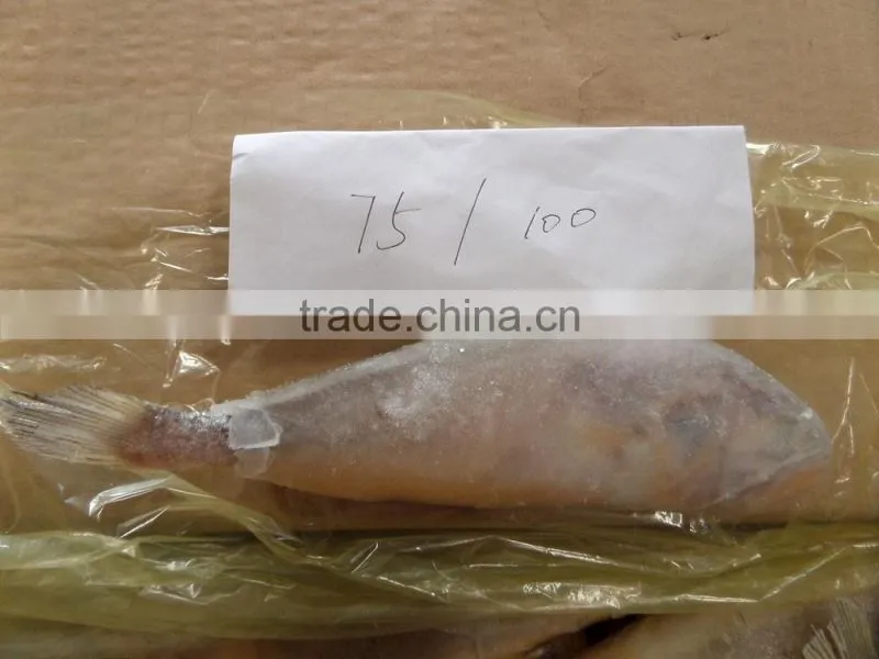 Frozen Yellow Croaker 75/100 g/pc