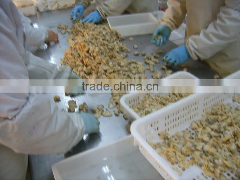 frozen boiled short-necked clam meat