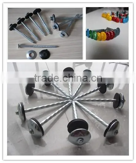 china umbrellas roofing nails/twisted shank umbrella nails/rubber washer roofing nails