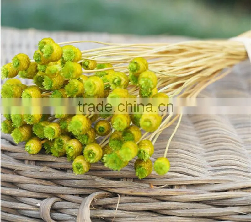 Dried natural small mini flower Brazilian art artificial dried flower home decoration