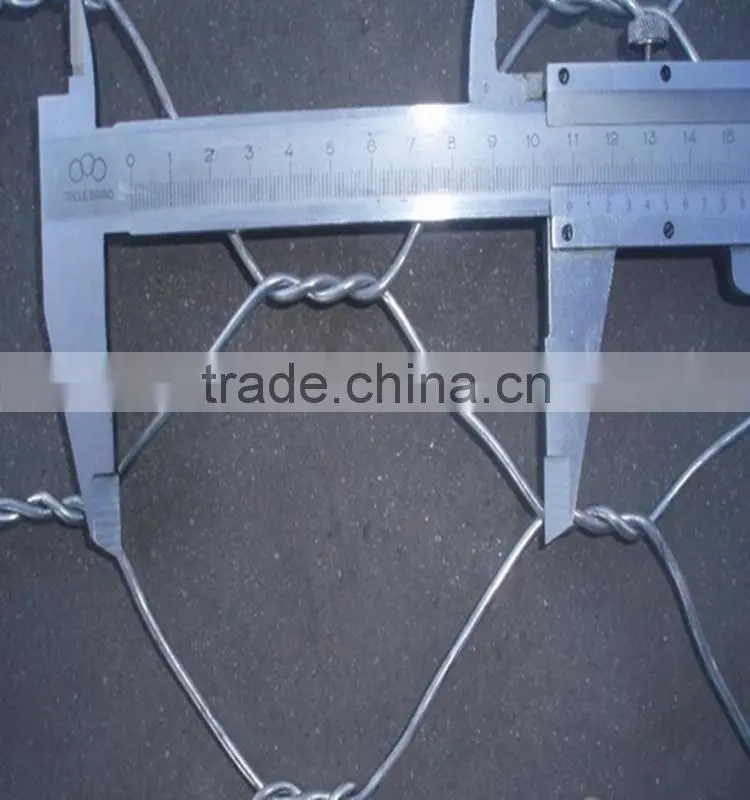Alibaba gold supplier galvanized chicken coop hexagonal wire mesh(ISO and SGS)