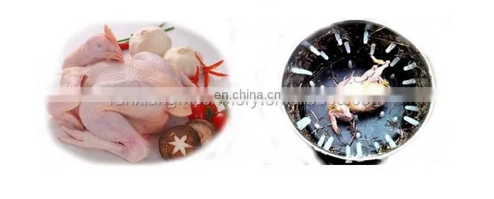 Easy operation chicken plucker machine / duck plucker machine / plucking machine
