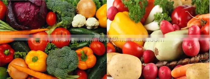 Commercial freeze dryer machine / pasta drying oven / tea drying machine