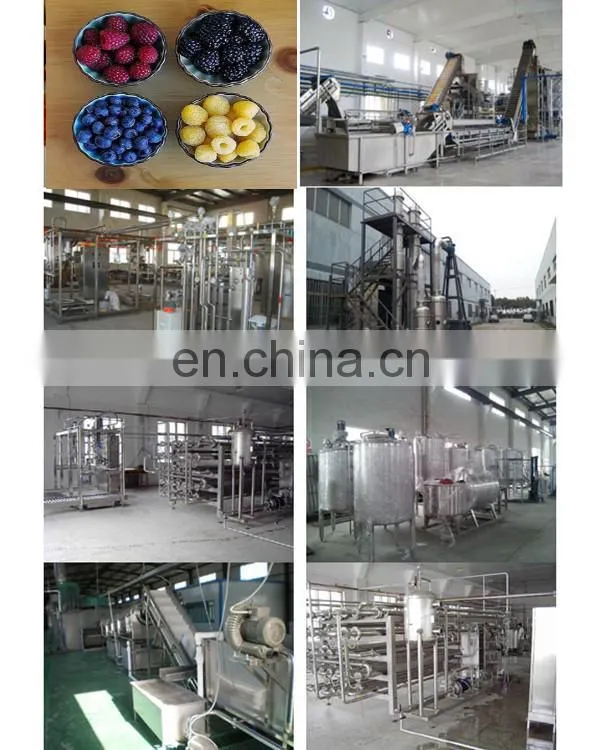 Strawberry Jam Production Line