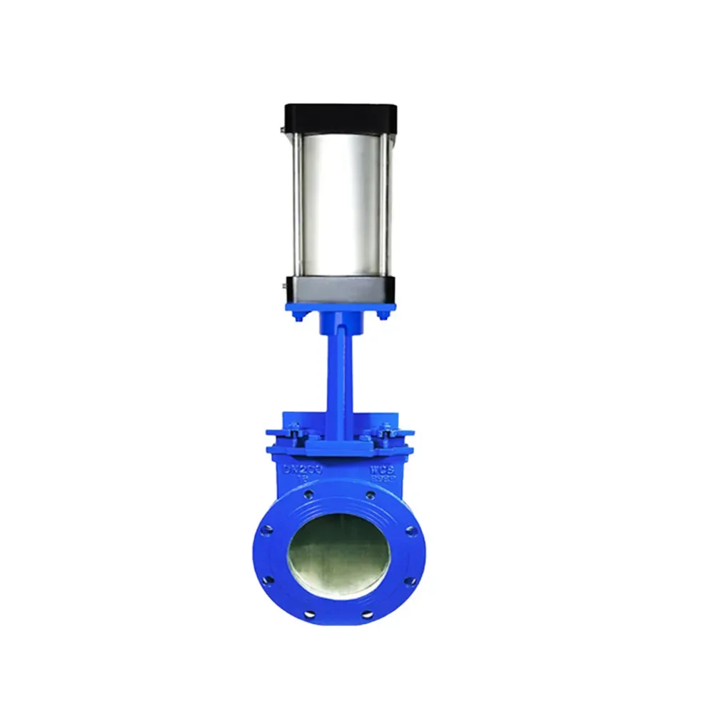 knife gate valve01