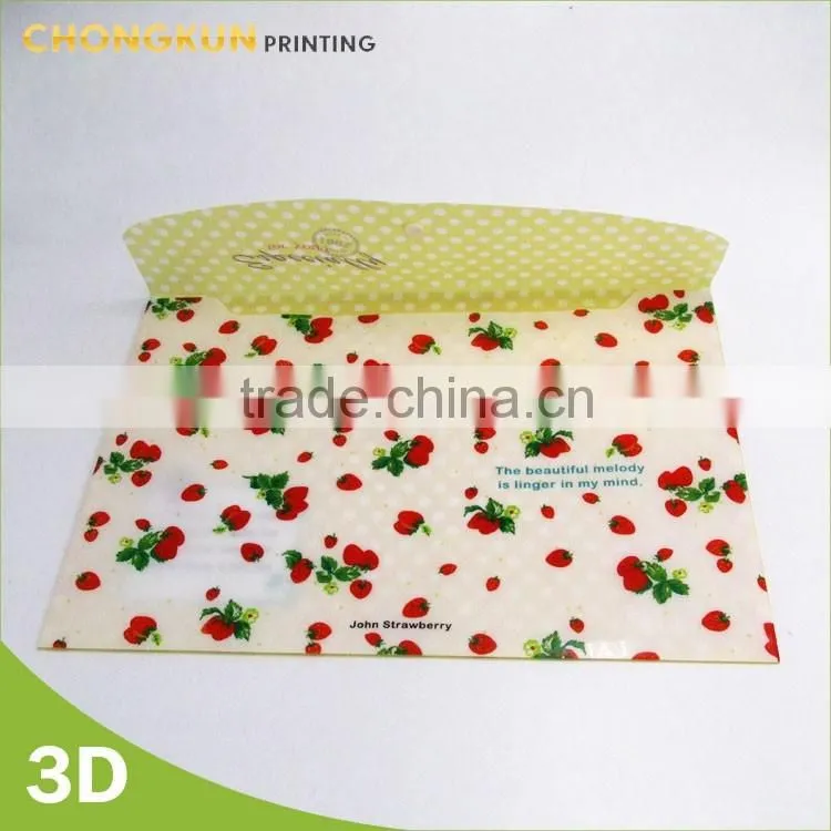 stylish pocket file folder holder