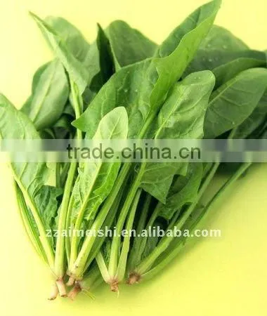 2013 Multifunction Industrial vegetable cutter