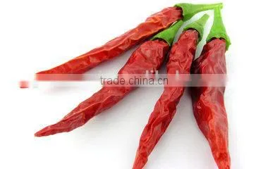 Industrial red chilli dehydrator /chilli dehydrated