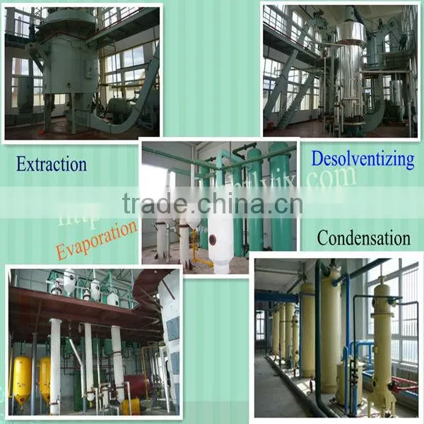 Cottonseed Oil Extraction Machine (Professional oil machine manufacturer)