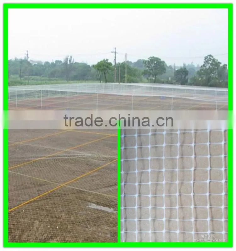 supply Eco-friendly plastic anti bird net&pond cover mesh