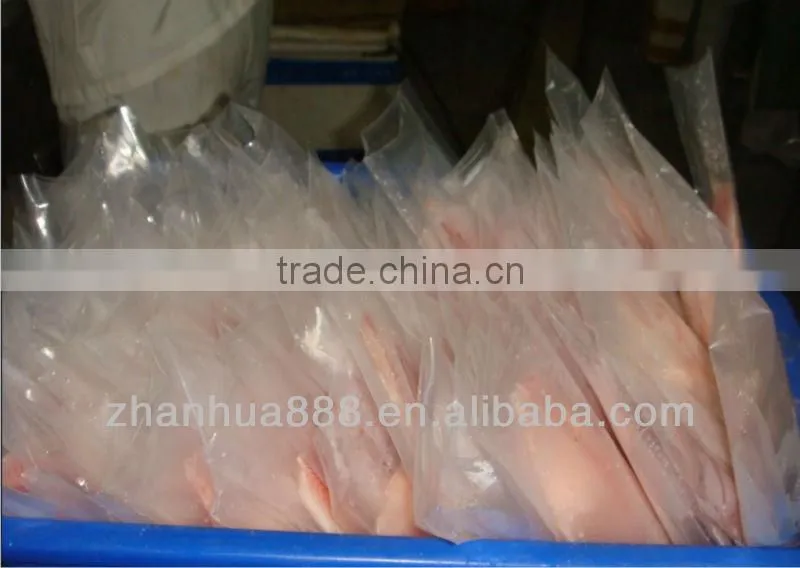 wholesale tilapia whole fish fillet