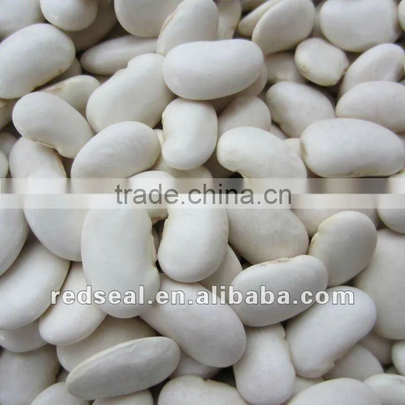 Yunnan Organic white kidney beans