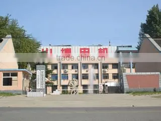 Shandong Shanbo Electric Machine Group Co., Ltd. company overview - view 2