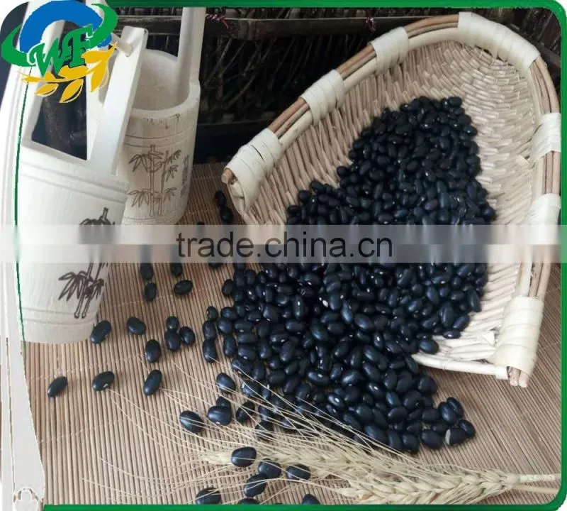 2016 China Black Kidney Beans