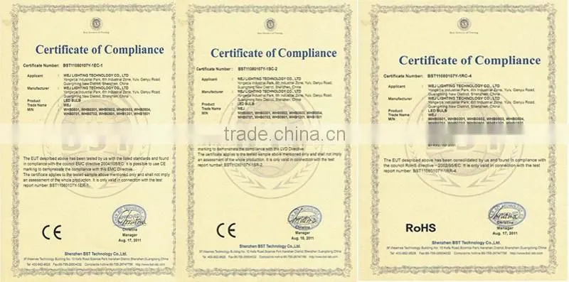 A60 E27 AC220 10W 880LM cool white LED BULB CE