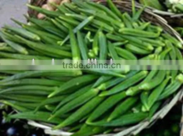 New fresh Frozen Okra