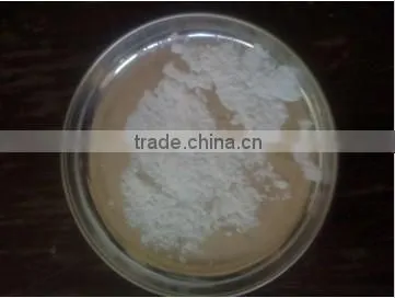 Thailand High Quality White Color Native Tapioca Starch for Sale