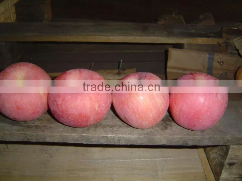 Fuji Apple China