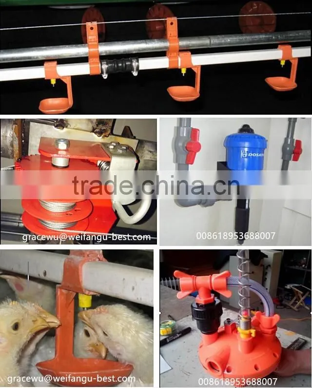 auto controlled chicken breeding machine poultry breeding equipment