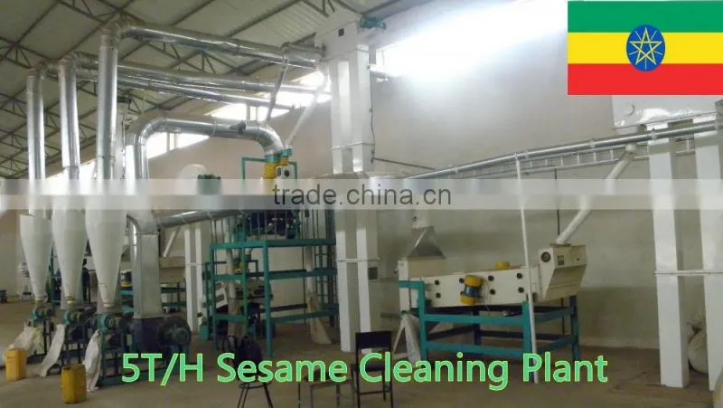 Green Mung Bean Cleaning Plant