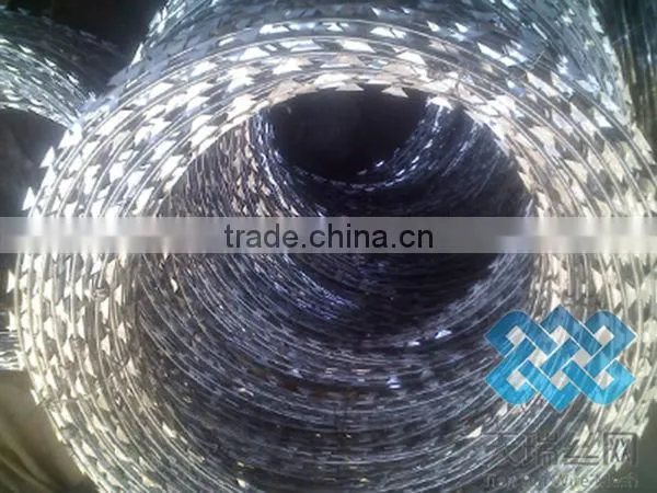 stainless steel and galvanized concertina razor wire