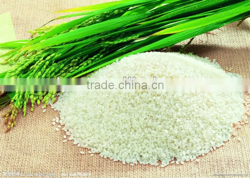 hot sale SB-30/50 rice mill machine with big capacity
