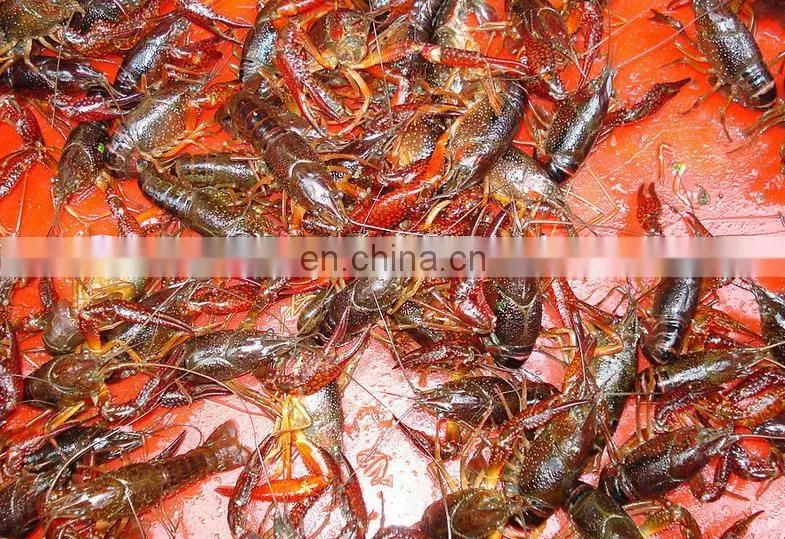Competitive price Paddlewheel aerators are widely used in fish shrimp farmers