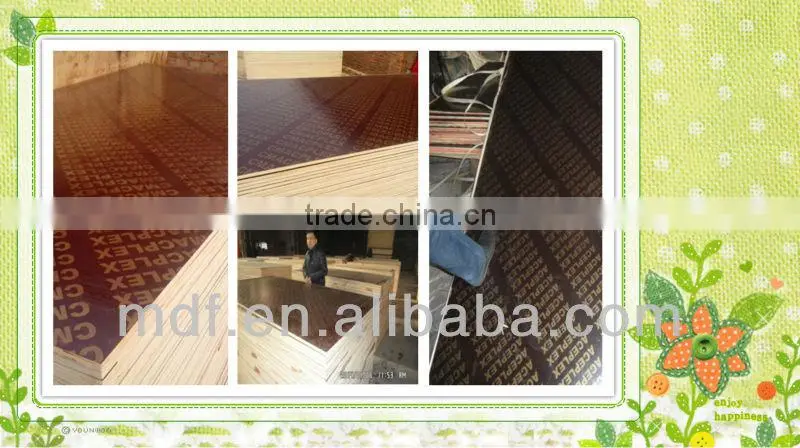 2014 high quality 18mm black film face plywood