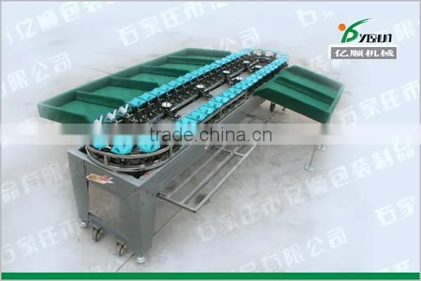 Sorter type onion sorting machine