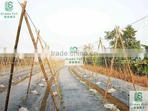 white yam net/plant support net/plant climbing net