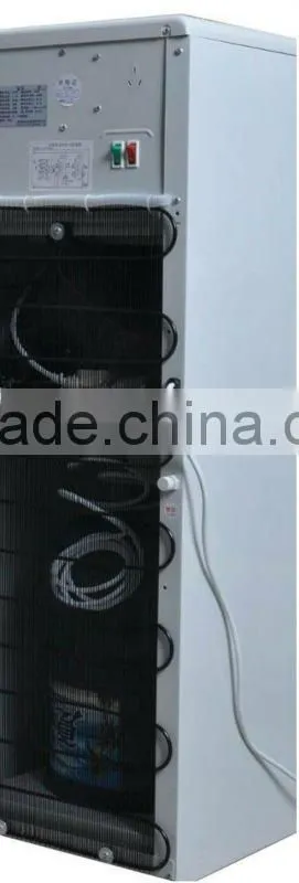New design Floor Standing Water dispenser with compressor R134A