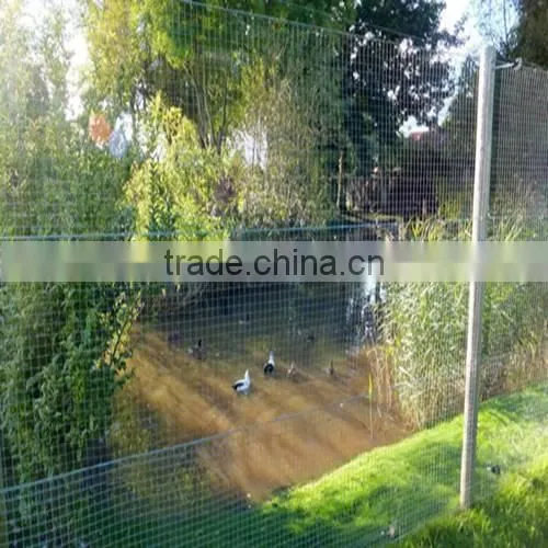 nylon anti bird netting / agricultural bird net