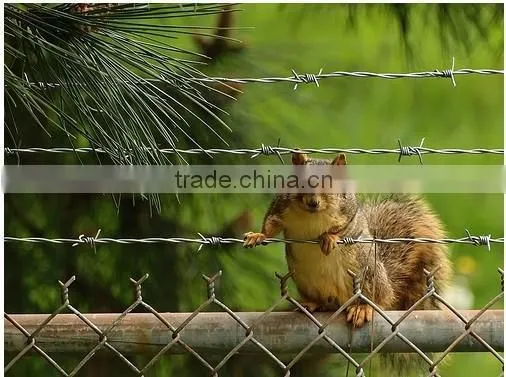 Heavy duty galvanized double twisted barbed wire