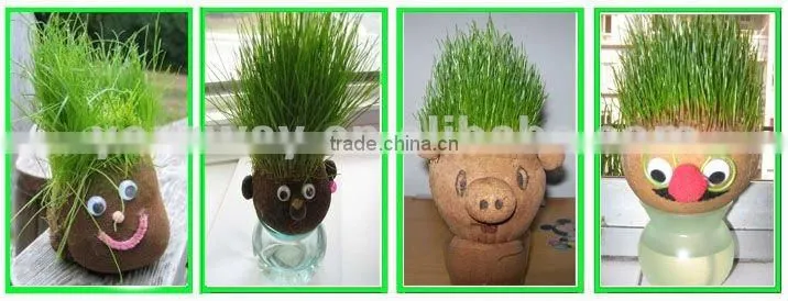 Growing grass doll,grass head,grass doll