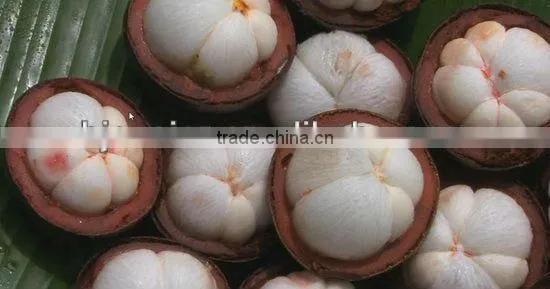 mangosteen peel extract