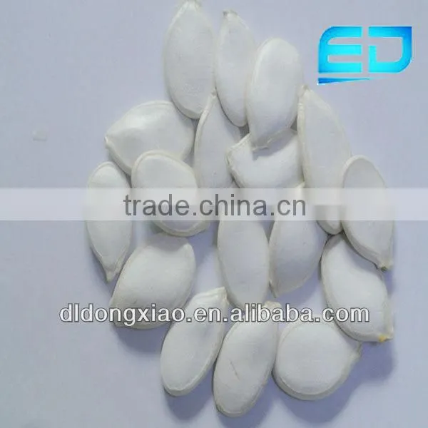 Chinese Shop Online Plant Seeds for Agricultural Snow White Pumpkin Seeds