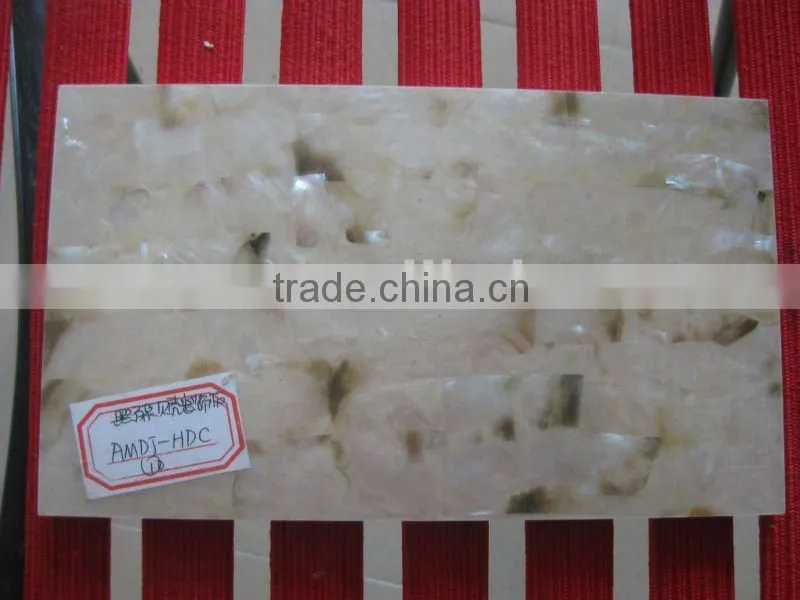 Natural mother of pearl sea shell wall tile